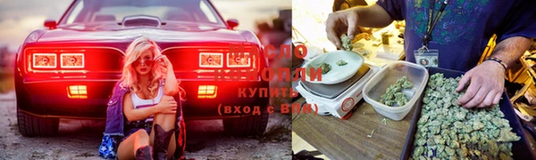 дживик Армянск